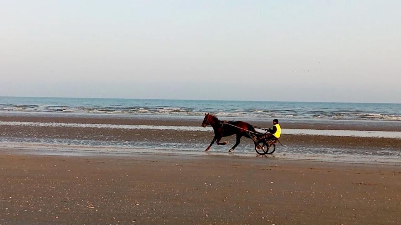 Bed and Breakfast Chez Gigi Merville-Franceville-Plage Esterno foto
